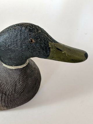 EVANS Vintage Duck Decoy Competitive Grade Mallard Paint Glass Eyes 11