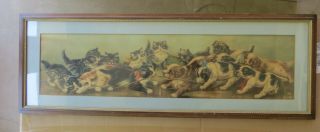 Antique Kittens & Puppies Yard Long Print C.  1901 " The Tug Of War " Cats Dogs