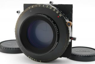 [rare Optical Mint] Nikon Nikkor M 450mm F/9 Large Format Lens Copal 3 From Jpn