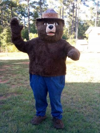 Vintage Smokey Bear Adult Costume