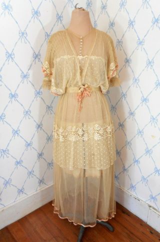 Antique Edwardian Ivory Pink Trim Net Lace Gown Wedding Dress Boho Wearable