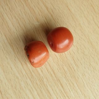 19 Tow Old Antique Chinese / Tibetan Natural Undyed Salmon Coral Beads 7g 4