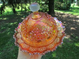 Fenton Orange Tree Antique Carnival Art Glass Covered Butter Dish Marigold