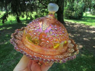 Fenton ORANGE TREE ANTIQUE CARNIVAL ART GLASS COVERED BUTTER DISH MARIGOLD 2