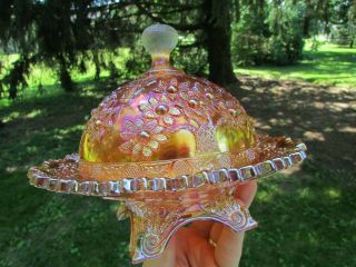 Fenton ORANGE TREE ANTIQUE CARNIVAL ART GLASS COVERED BUTTER DISH MARIGOLD 7