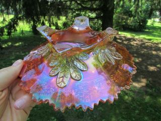 Fenton ORANGE TREE ANTIQUE CARNIVAL ART GLASS COVERED BUTTER DISH MARIGOLD 8