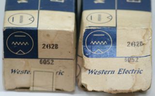 Western Electric WE 262B tube Mesh Matched Pair NOS NIB Valve vintage preamp 245 3