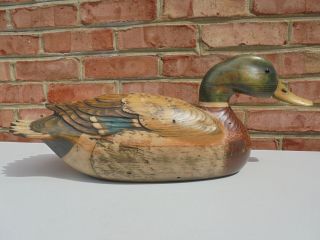Tom Taber Signed Large Carved Wood Duck Decoy 21 "