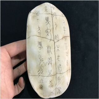 Collected China Antique Crafts Resin Statue Exquisite Oracle Bone Turtle Shell