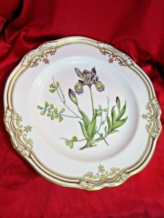 Vintage Spode Stafford Flowers Dinner Plate 11 " Y8519 - M