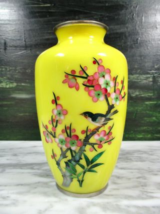 Antique Japanese Bright Yellow Cherry Blossom Branch Bird Cloisonne Enamel Vase