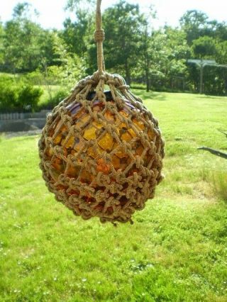 Old Vintage Large 12 " Amber Glass Japanese Fishing Float With Rope Net & Loop