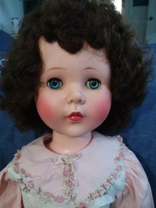 Vintage 31 " Sweet Sue American Character Doll Mid - 1950 