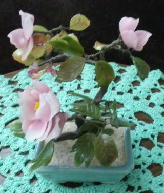 Japanese Jade Cherry Blossom Bonsai Tree Vintage