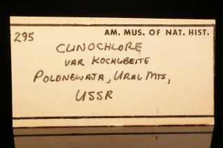 RARE 19th C.  Chromian Clinochlore POLDNEVAYA,  RUSSIA - Ex.  AMNH 10