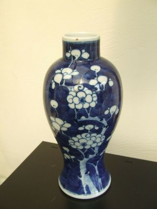 Chinese Porcelain Prunus Vase 19th Century 4 Character Kangxi Mark To Base