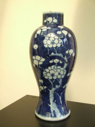 CHINESE PORCELAIN PRUNUS VASE 19th CENTURY 4 CHARACTER KANGXI MARK TO BASE 2