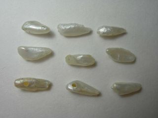 9 very rare Natural Mississippi River Pearls Flower Design Uncultured Wing FW 5