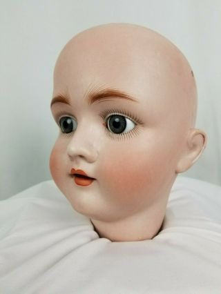 Antique German Large Bisque Socket Head Doll Kestner Walkure Blue Glass Eyes 2