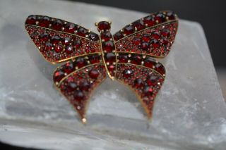 Antique Bohemian Pyrope Garnet Gold Filled Butterfly Pin Brooch Rare