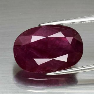 Certificate Inc.  Huge Rare 10.  67ct 16.  7x11.  4mm Oval Natural Unheated Red Ruby