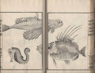 1880 Antique Woodblock Print Picture Book Fishes Japanese 19thc Meiji Period