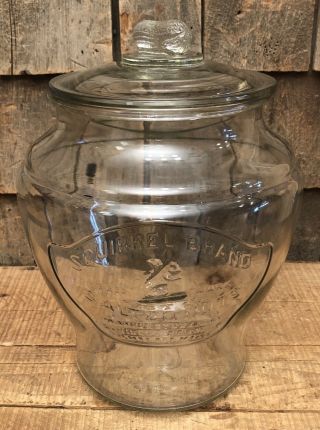 Antique SQUIRREL BRAND Salted Nuts Country General Store Display Jar W/Lid 2