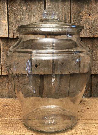 Antique SQUIRREL BRAND Salted Nuts Country General Store Display Jar W/Lid 4