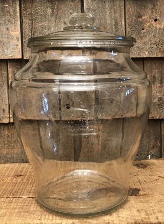 Antique SQUIRREL BRAND Salted Nuts Country General Store Display Jar W/Lid 5
