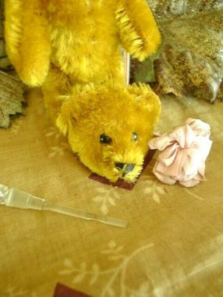 Antique Schuco Teddy Bear With Orig.  Glass Perfume Bottle