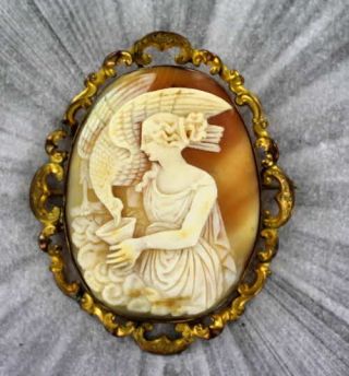 Large Antique Shell Cameo Brooch Pin Carved In Italy Pinch Beck Gold 1880s
