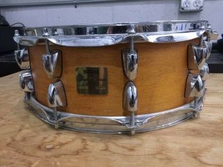 Rare,  Discontinued Yamaha Maple Custom Absolute Snare,  14 " X 6 "