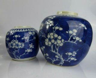 Chinese Antique Porcelain Prunus Blossom Jars X 2 Kangxi Double Ring Marks Qing