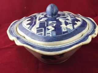 Chinese Export 1800 ' s Porcelain Soap Pot 2