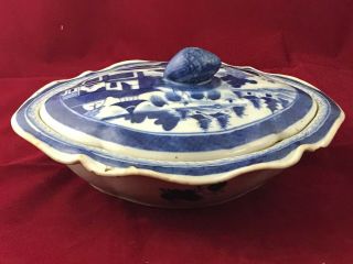 Chinese Export 1800 ' s Porcelain Soap Pot 3