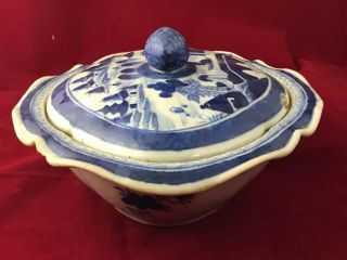 Chinese Export 1800 ' s Porcelain Soap Pot 4
