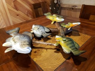 Bluegill crappie wood carving fish trophy taxidermy cabin decor Casey Edwards 12