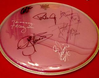 Kiss Signed 19 " Bass Drum Head Autographed Look Rare Aucoin