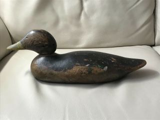 Antique “mason” Mallard Hen Duck Decoy,  1920’s,  Paint