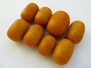 8 Large Old Natural Baltic Amber Beads