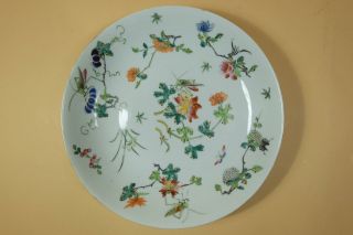 A Chinese Famille Rose Porcelain Dish,  Marked.