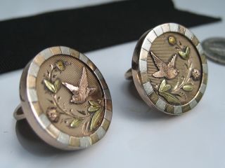 Antique Victorian Art Nouveau Gold Cufflink Buttons Dove Bird Flowers Aesthetic