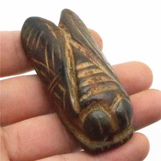 Chinese Hongshan Culture Hand Carved Exquisite Jade Cicada Statue Pendant G332