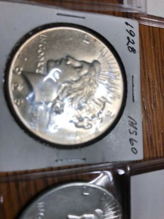 Three (3) Here’s 3 Rare 1928 P Peace Silver Dollar RAW Kay Date 2