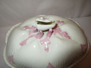 Antique 1800s Belleek TRIDACNA Shell Pink Coral Covered Bowl - First Black Mark 11