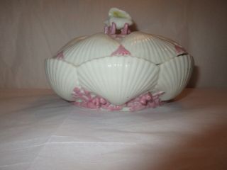 Antique 1800s Belleek TRIDACNA Shell Pink Coral Covered Bowl - First Black Mark 6