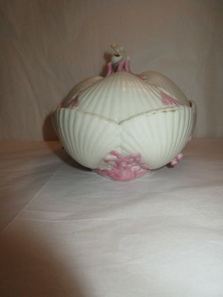 Antique 1800s Belleek TRIDACNA Shell Pink Coral Covered Bowl - First Black Mark 7