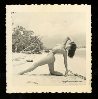 Bunny Yeager Estate 1954 Bettie Page Photograph Nude Artful Pose Rare,