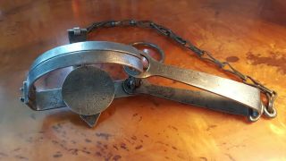 Newhouse 21 1/2 Antique Animal Trap,  Oneida Community,  Flat Link Chain And Ring