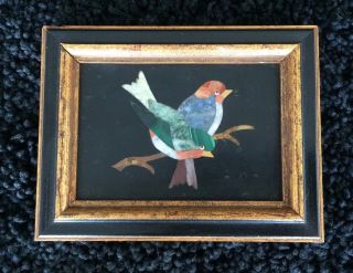 Pietra Dura Plaque Framed - Two Birds Sitting On A Branch - Vintage